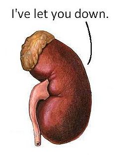 Kidneyfailure.jpg